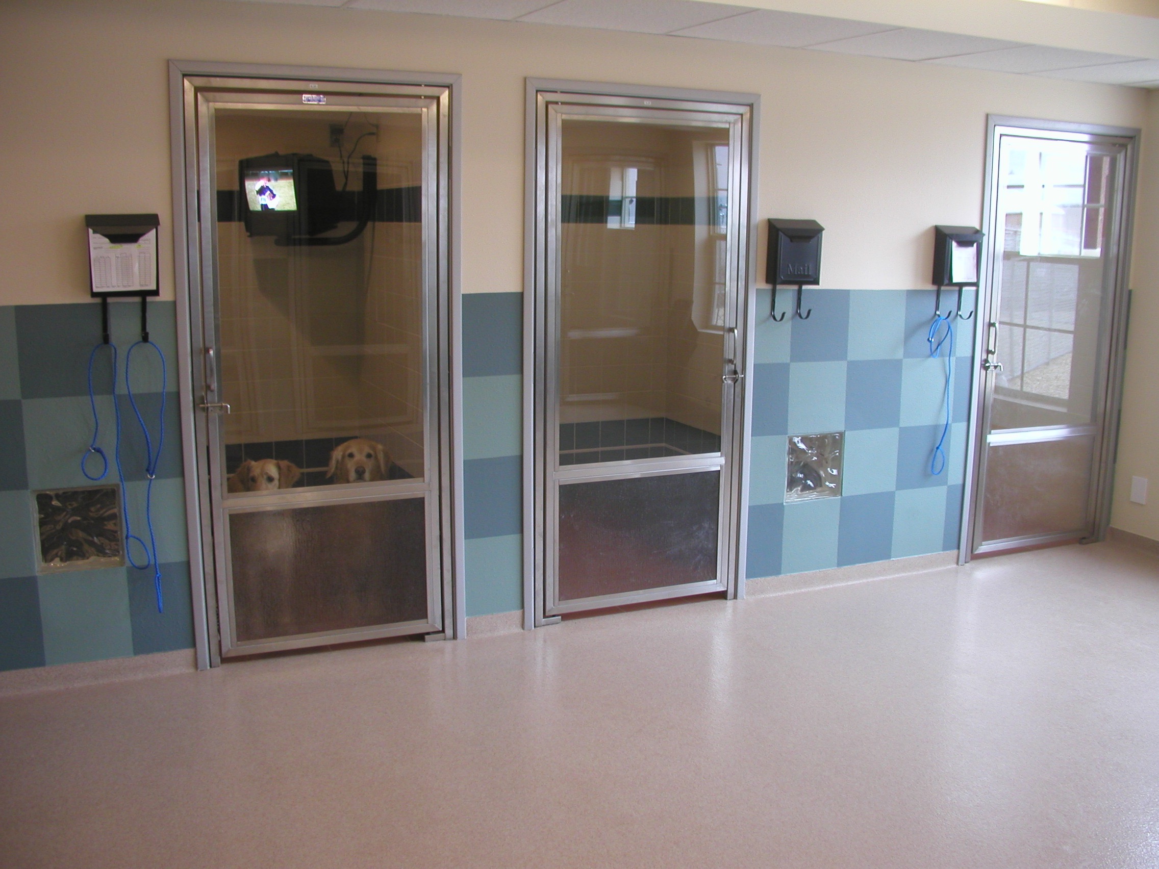 Vet Clinic in San Antonio Tour Our Office Pet Medical Center